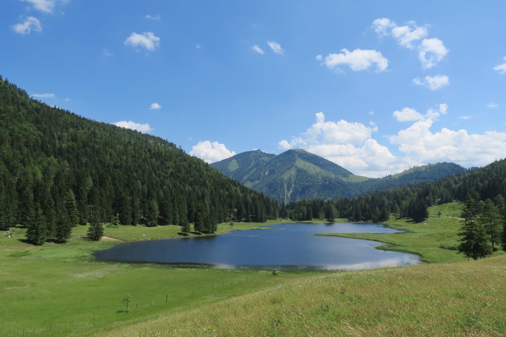 Seewaldsee, Travel Drift