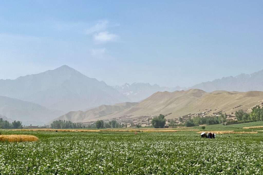 Feldarbeit in Bamiyan